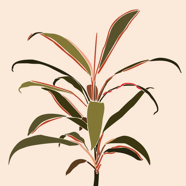 Cordyline Planta Estilo Minimalista Moda Silueta Una Planta Tropical Estilo — Vector de stock