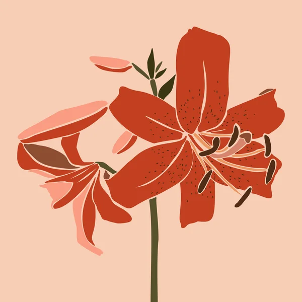 Art Collage Λουλούδι Κρίνο Ένα Minimal Στυλ Σιλουέτα Κόκκινα Φυτά — Διανυσματικό Αρχείο
