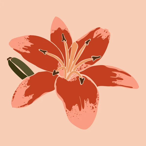 Art collage lilia kwiat w minimalnym modnym stylu. Sylwetka roślin lilii w abstrakcyjnym stylu. Wektor — Wektor stockowy