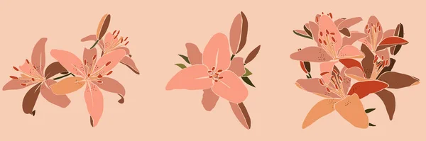 Kolekcja Art Collage Kwiat Lilii Minimalnym Modnym Stylu Sylwetka Roślin — Wektor stockowy