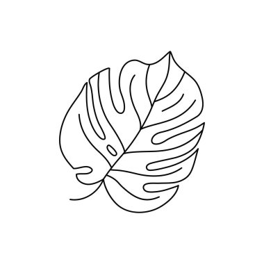 Tropikal bitkilerden oluşan canavar yaprağı. Trendi Minimalist tarzında ana hatlarıyla Palm leaf. Vektör İllüstrasyonu.
