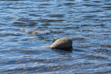 Temiz nehir suyunda büyük bir taş