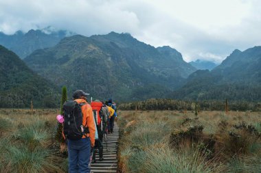Rwenzori Dağları, Uganda 'nın panoramik dağ manzaralarında bir grup yürüyüşçü