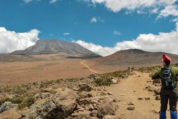 Una Excursionista Femenina Fondo Del Monte Kilimanjaro Tanzania — Foto de Stock