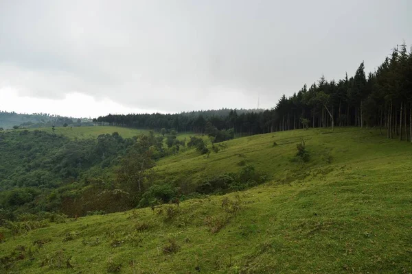 Árvores Nas Paisagens Montanhosas Panorâmicas Aberdare Ranges Quênia — Fotografia de Stock