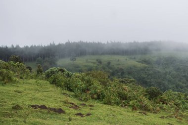 Kenya kırsalında gökyüzüne karşı dağlar, Aberdare Sıradağları