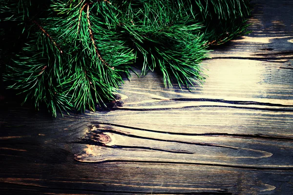 Carte de vœux avec branche de sapin — Photo