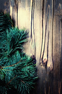 Noel kartı köknar ağacı dalı ile