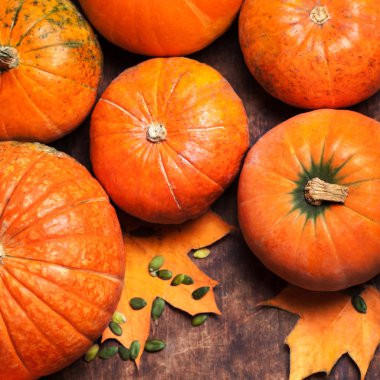 Beyaz arkaplanda kabaklar izole edildi.  