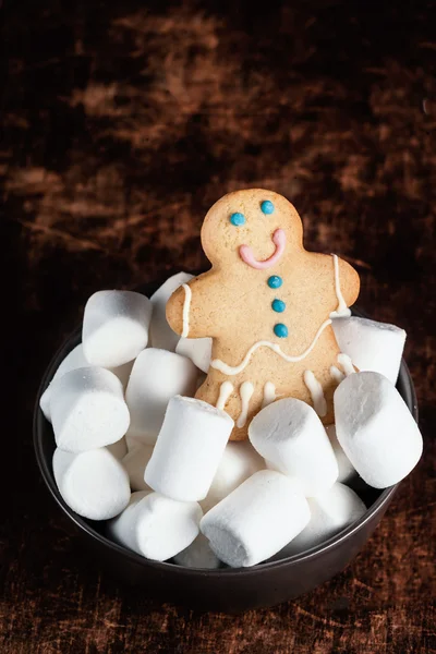 Weihnachten selbst gebackener Lebkuchen — Stockfoto