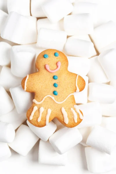 Kerstmis zelfgemaakte-peperkoek cookie — Stockfoto