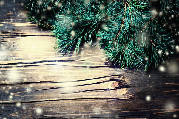 Christmas fir tree on wooden board — Stock Photo, Image