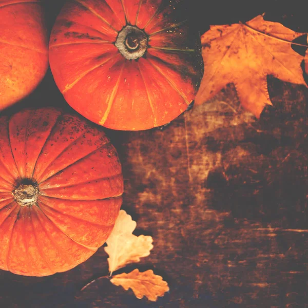 Abóboras de outono na mesa — Fotografia de Stock