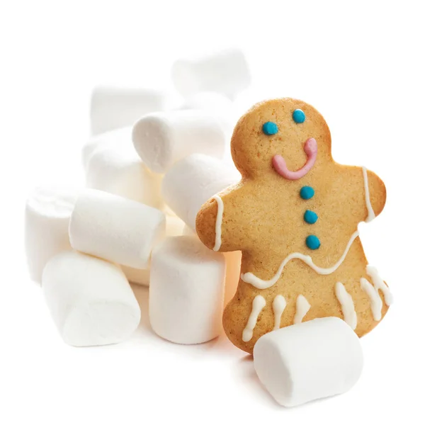 Vánoční perníkové sušenky — Stock fotografie