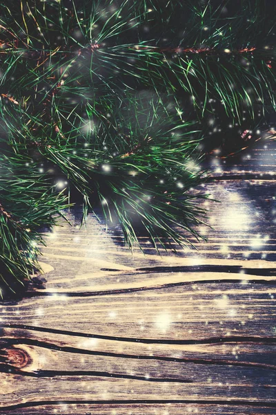 Рождественская ель — стоковое фото