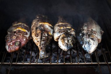Baharat ile ızgara dorado