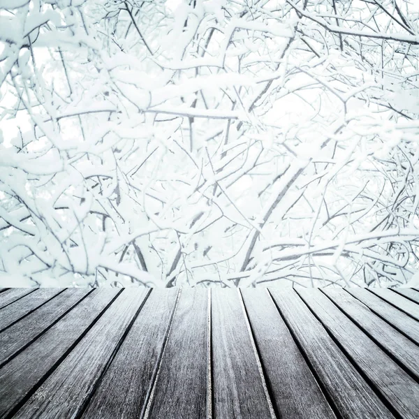 Vacker snöig skog — Stockfoto