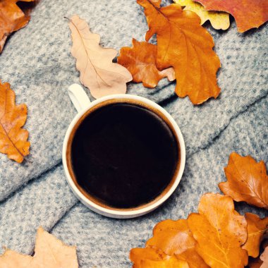 Sonbahar yaprakları ile kahve fincanı