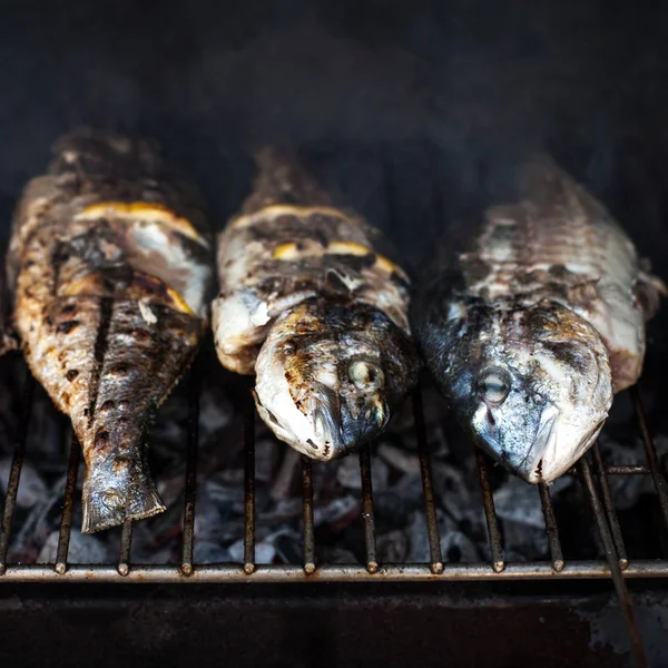 Dorado a la parrilla con especias — Foto de Stock