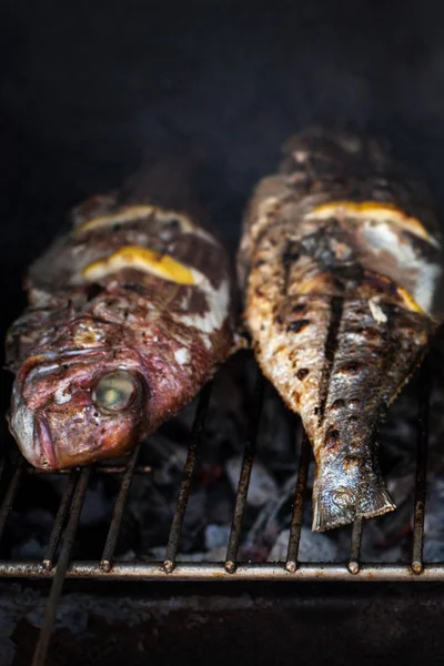 Grilled dorado with spices — Stock Image Grilled dorado with spices Stock Image