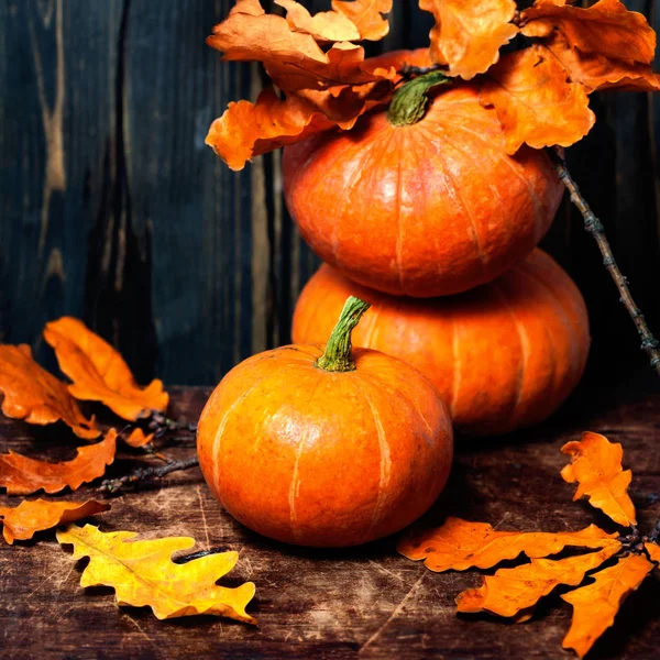 Calabazas de otoño en la mesa —  Fotos de Stock