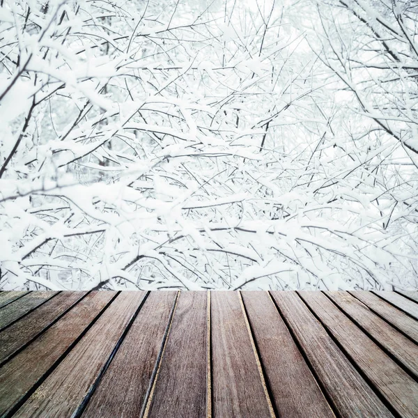 Forêt avec planche en bois — Photo