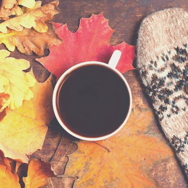 Folhas de outono com xícara de café — Fotografia de Stock