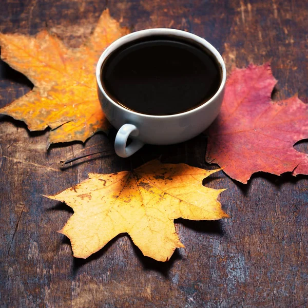 Jesienne liście z filiżanki kawy — Zdjęcie stockowe