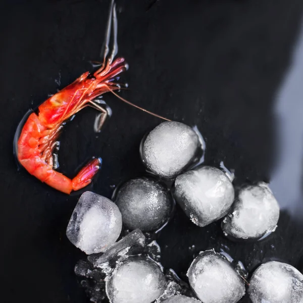 Crevettes crues fraîches avec glace — Photo