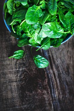 taze yeşil ıspanak 