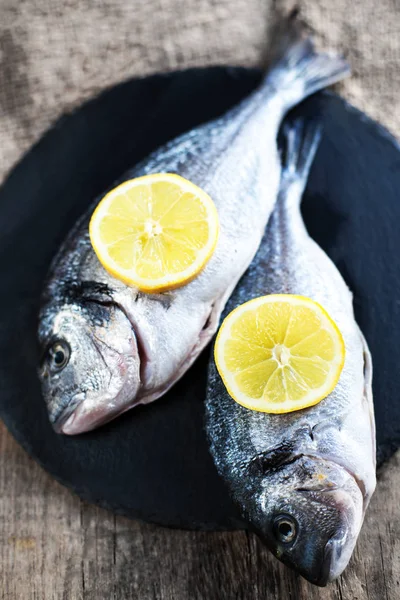 Fresh raw Dorado sea  fish — Stock Photo, Image