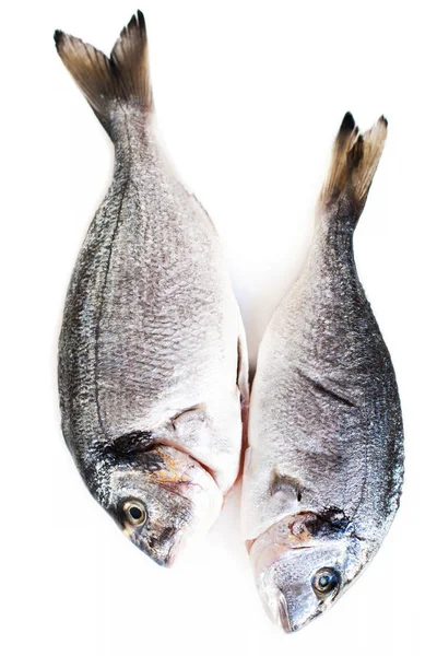 Fresh raw dorado fish — Stock Photo, Image
