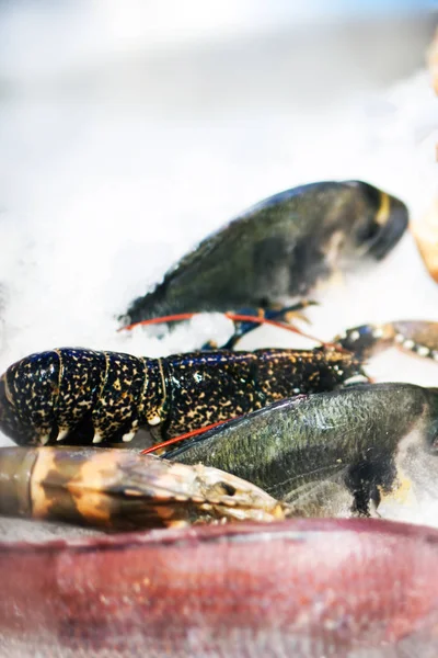 Seafood assortment on ice — Stock Photo, Image