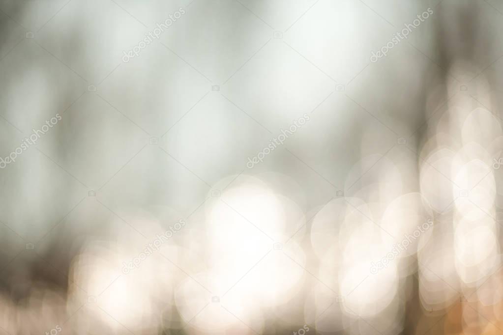 Nature blurred light abstract background 
