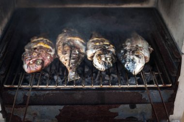  Izgara balık Barbekü 