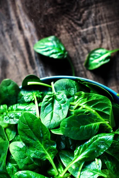 Fresh green baby spinach leaves — Stock Photo, Image