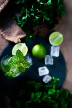 taze mojito kokteyli