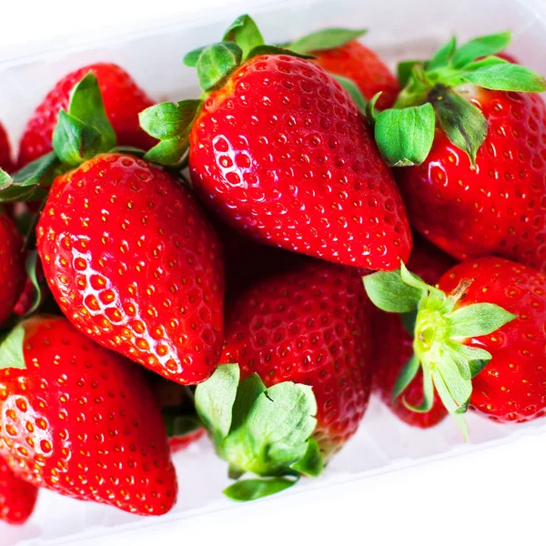 Frische Erdbeeren in einer Schachtel — Stockfoto