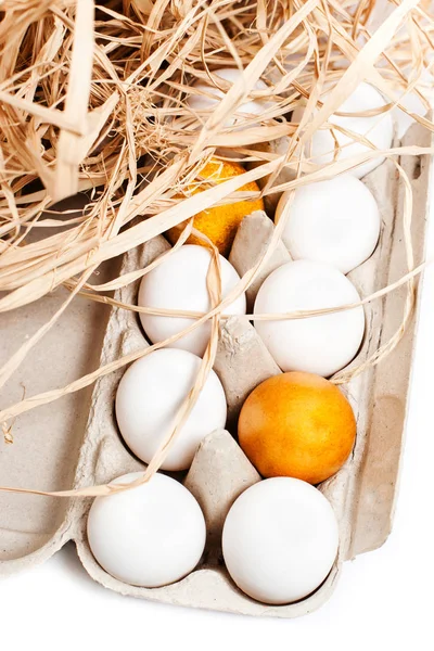 Uova di Pasqua su nido — Foto Stock
