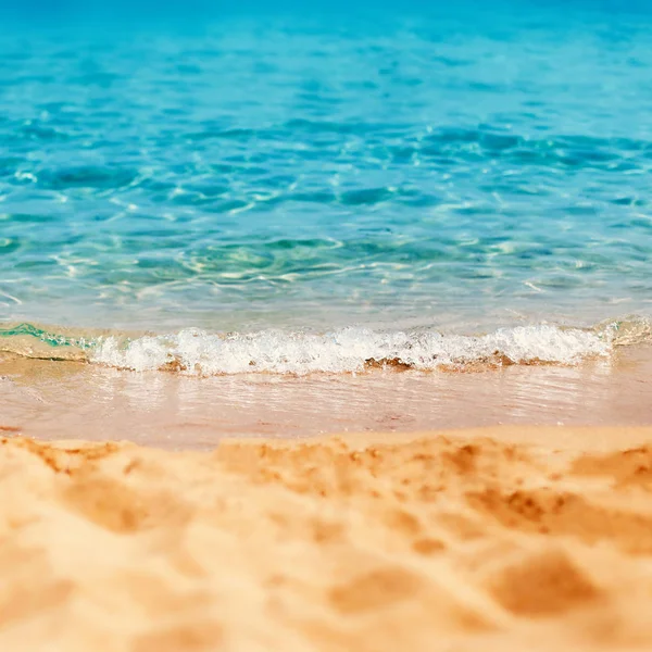 Тропический пляж с синим морем — стоковое фото