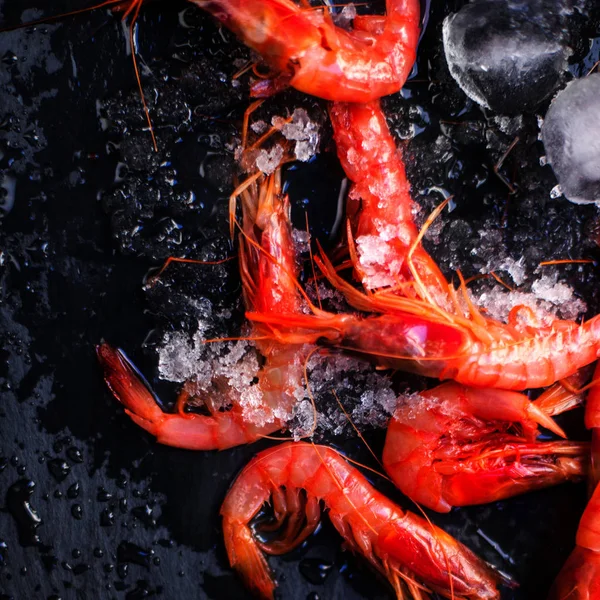 Crevettes crues fraîches avec glace — Photo