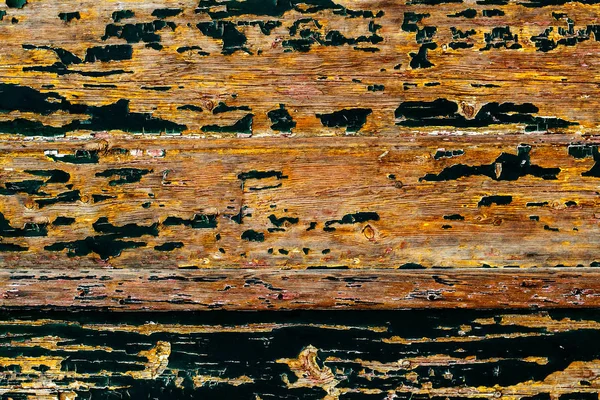 나무 나무 고민된 오래 된 자연 — 스톡 사진