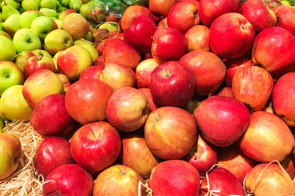 Pile of fresh organic red apples — Stock Photo, Image