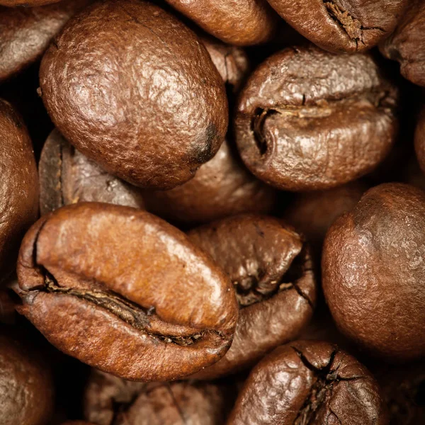 Granos de café macro fondo de pantalla . —  Fotos de Stock