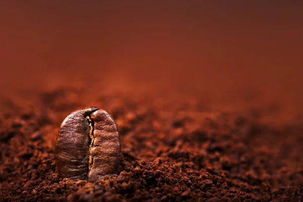 stock image Ground Coffee with Roasted Coffee Beans 