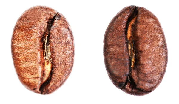 Coffee beans set — Stock Photo, Image