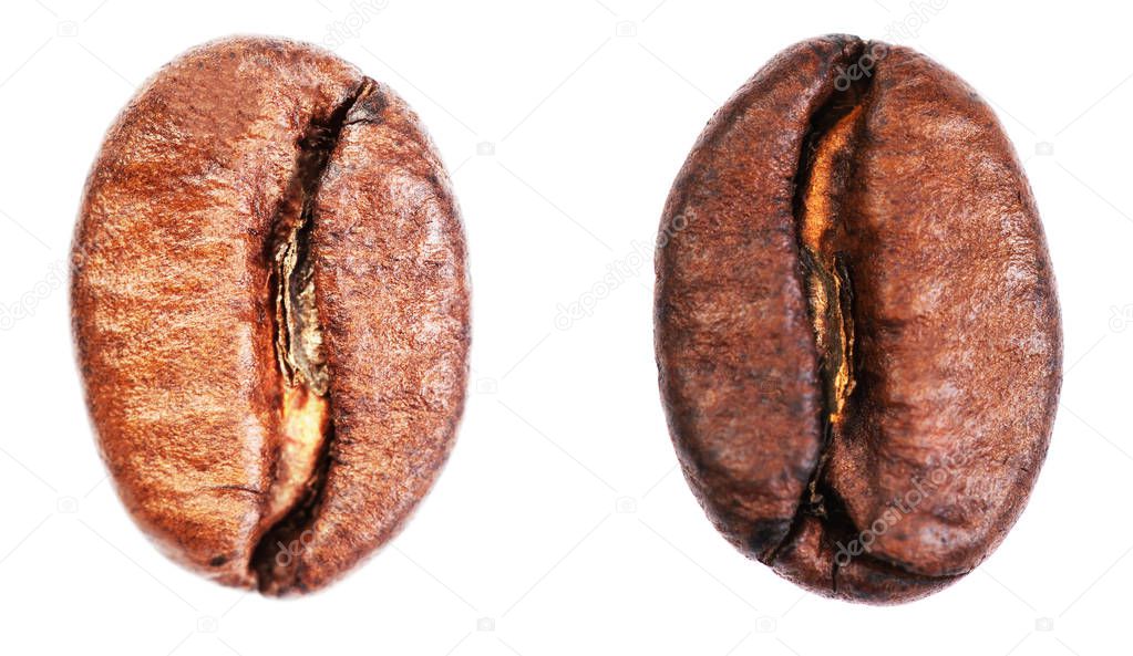 Coffee beans set 