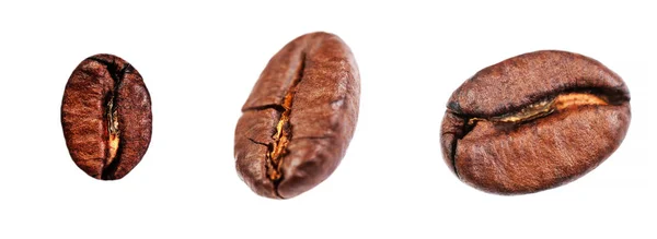 Coffee beans collection — Stock Photo, Image