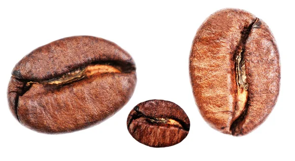 Coffee beans set — Stock Photo, Image