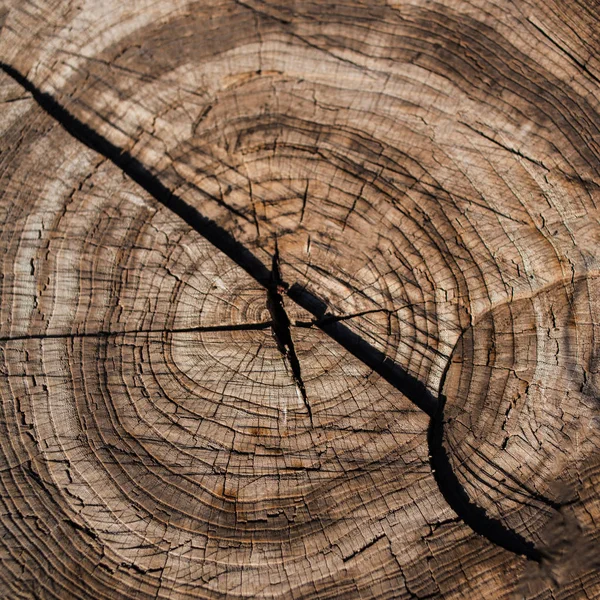 Struttura in legno naturale marrone — Foto Stock